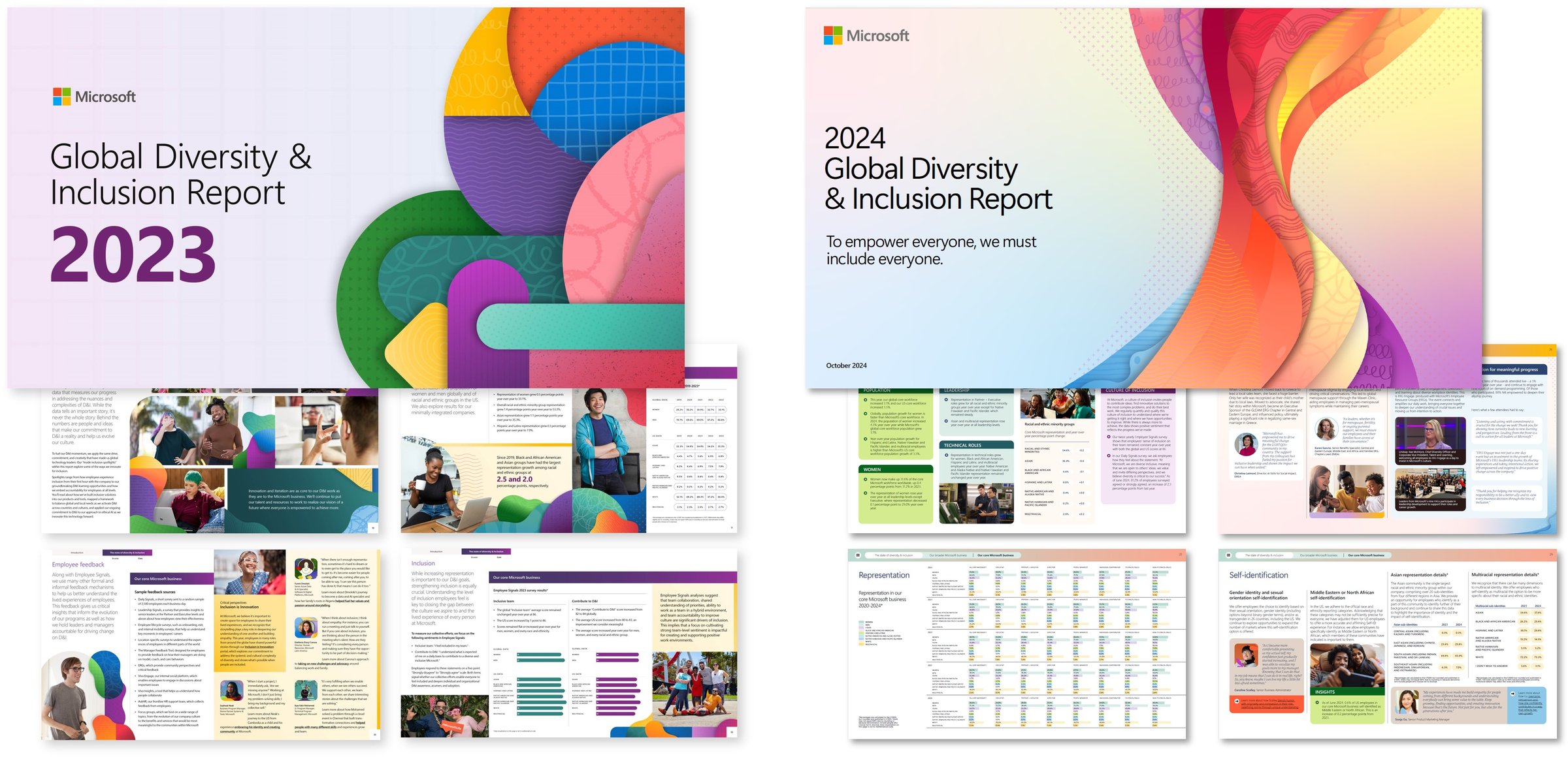 2023-2024 DEI Reports